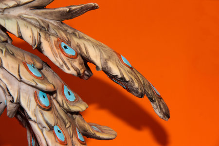 Peacock feather on orange background