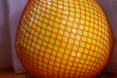 Pamela in the orange net