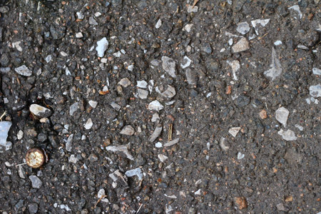 the texture of asphalt with stones