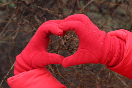 heart of the hands in red glovesの写真素材