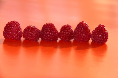 Berries on a bright background. Ripe raspberries on an orange backgroundの写真素材