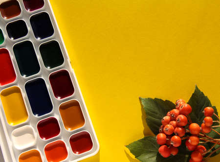 Watercolor paint with Rowan on a yellow background.の写真素材