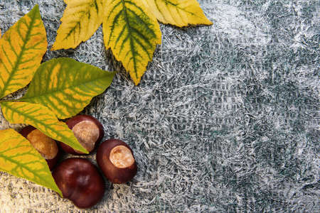 Autumn background. Leaves with chestnuts on a crumpled background ..の写真素材