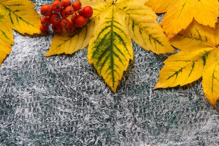 Autumn background. Leaves with chestnuts on a crumpled background ..