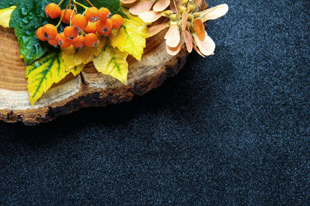 Black background with autumn leaves and tree bark.