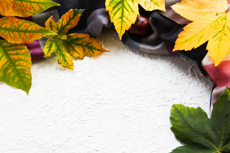 Autumn background with a scarf and leaves.
