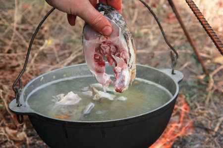 A man's hand pushes a fillet of fish into the soup. Cooking fish soup in the fresh air.の写真素材