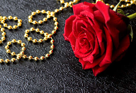 A lush red rose with drops of dew on black background with gold beads.の写真素材