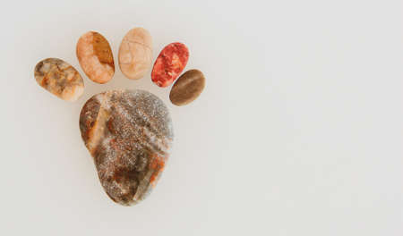 A leg made of sea stones. Marine background.の写真素材