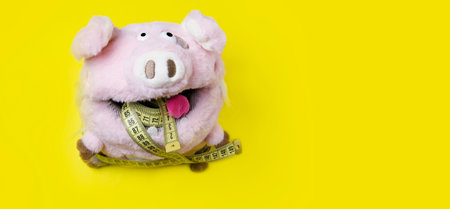 A pig eats a meter on a yellow background. Toy pig.