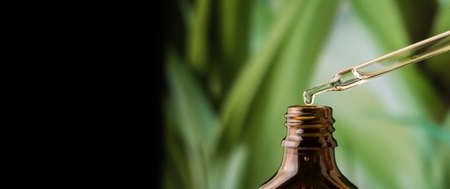 A drop of liquid from a pipette on a green background.の写真素材