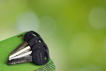 Keys on a green background side view.の写真素材