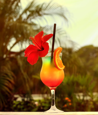 Cocktail with a flower on a background of palm trees.の写真素材