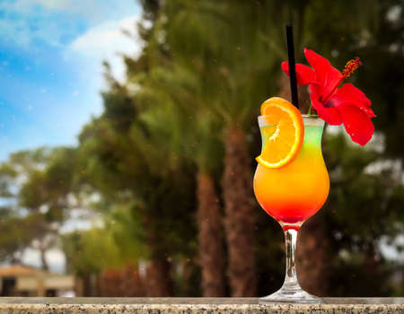 Alcoholic drink on the background of palm trees.の写真素材