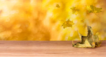 Autumn leaves fall on the table. Autumn background.の写真素材