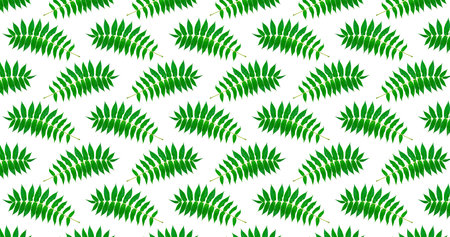 Twigs with green leaves seamless pattern on a white background.の写真素材