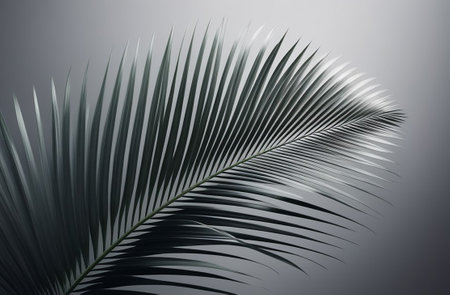 Palm tree on a gray background.の素材