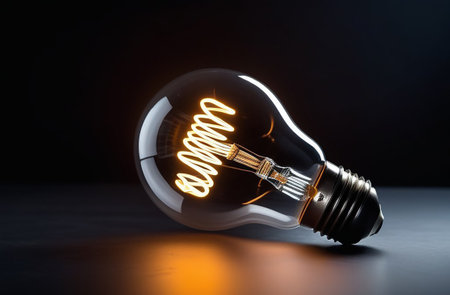 The light bulb is on on a black background.の素材