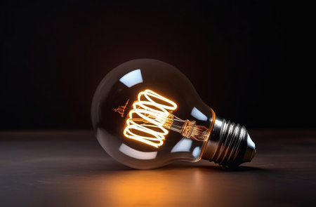 The light bulb is on on a black background.の素材