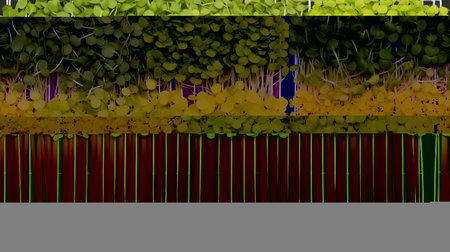 Bright microgreens for proper nutrition.の素材