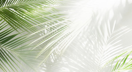 Delicate background with tropical leaves and their shadow.の素材