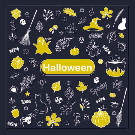 Halloween doodle. Cartoon set of sketches of festive elements: ghost, skull, pumpkin, broom, spider, cauldron with a potion, cat, mushrooms, hat, treats, acorn, chestnut. Vector illustrationのイラスト素材
