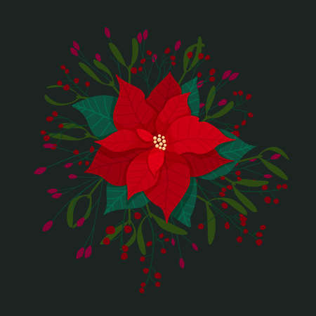 Red poinsettia flower composition with branches and berries isolated on dark background. Christmas star flower and leaves for winter holiday decoration and greeting card design. Vector illustrationのイラスト素材