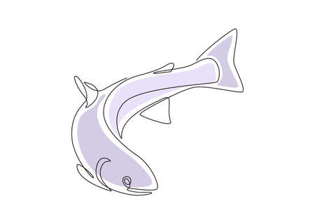 Salmon fish in one continuous line drawing. Wild trout in linear sketch style with blue color shapes on white background. Vector illustrationのイラスト素材