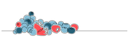 Blueberries and berries in one continuous line drawing. Fruit and strawberries in simple linear style. Label for jam and yogurt banner in editable stroke. Doodle vector illustrationのイラスト素材