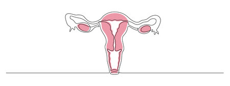 One continuous line drawing of woman uterus. Ovary and womb reproductive health in simple linear style for and web banner gynecology medical clinic. Editable stroke. Outline vector illustrationのイラスト素材