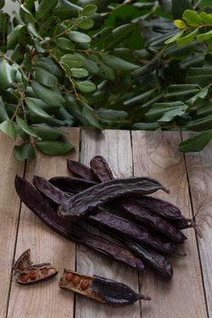 Carob pods on wooden boards. In the background carob branches. Montuiri, Mallorca, Spain