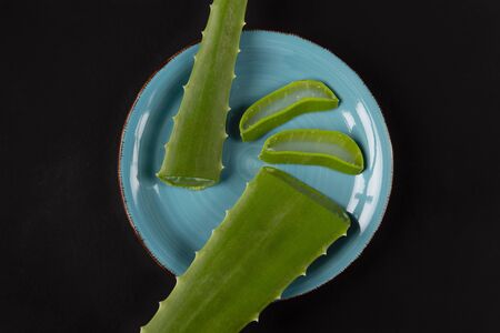 Ceramic bowl with portions of aloe vera, on a dark backgroundの写真素材