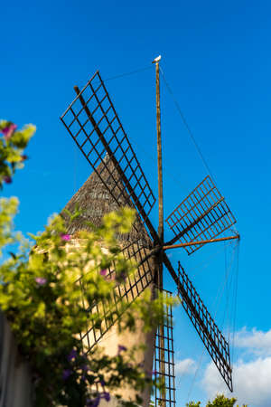 Palma de Mallorca, Spain. July 25, 2017. The Maritime Promenade. Cozy place located on Gabriel Roca Avenue. It is surrounded by palm trees and beautiful windmills.のeditorial素材