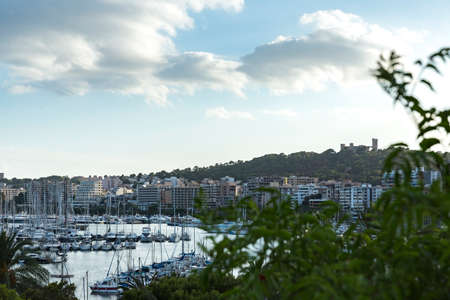 Palma de Mallorca, Spain. July 25, 2017. The Maritime Promenade. This cozy place is located on Gabriel Roca Avenue. From there you have a beautiful view of Bellver Castle.のeditorial素材