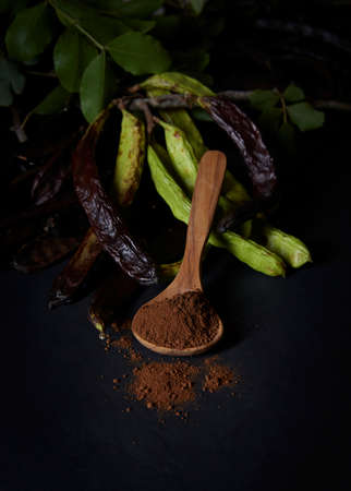 In the foreground, a wooden spoon with carob flour. Around and at the bottom, pods and carob leaves. All on black background. Montuiri, Mallorca, Spainの写真素材