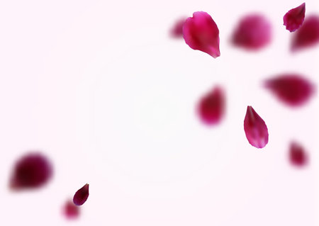Blurry background with flying pink, red rose petals. Vector illustration isolated on white background.のイラスト素材