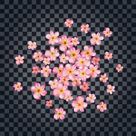 Abstract background with beautiful pink cherry blossom. Vector illustration isolated on a transparent background.のイラスト素材