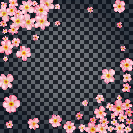 Abstract background with beautiful pink cherry blossom. Vector illustration isolated on a transparent background.のイラスト素材