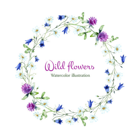 Watercolor flowers frame of Chamomile, Bluebell Flower, Red Clover isolated on a white background.の写真素材