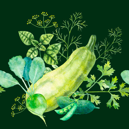Watercolor pattern of fresh vegetables on a green background: radish, peas, marrow, cucumber, parsley, basil, dill.の写真素材