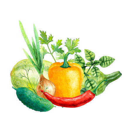 Watercolor illustration of fresh vegetables on a white background: marrow, pepper, chilli pepper, onion, cucumber, basil, parsley, dill.の写真素材