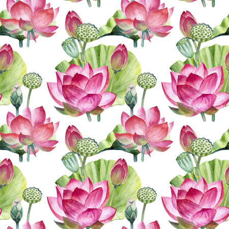 Watercolor pink lotus flowers seamless pattern. Hand drawn illustration isolated on a white background.の写真素材