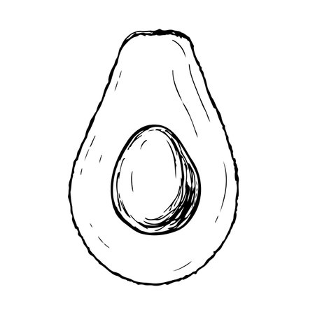 Avocado black outline vector illustration isolated on a white background.のイラスト素材