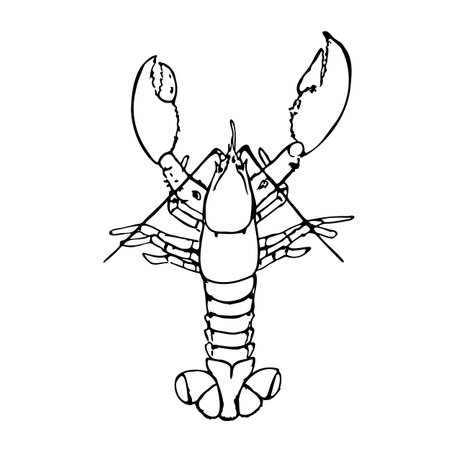 Lobster black and white vector illustration isolated on a white background.のイラスト素材