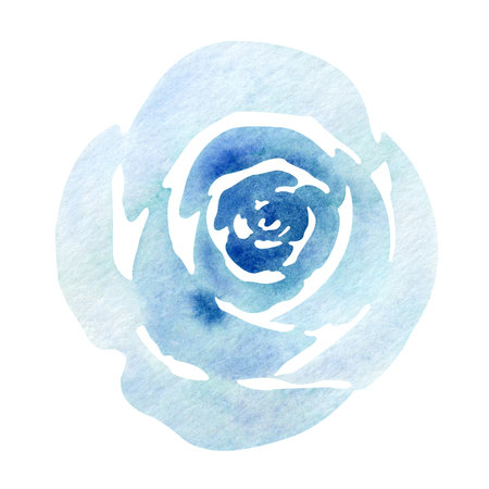 Watercolor hand drawn abstract blue rose isolated on a white background.の写真素材