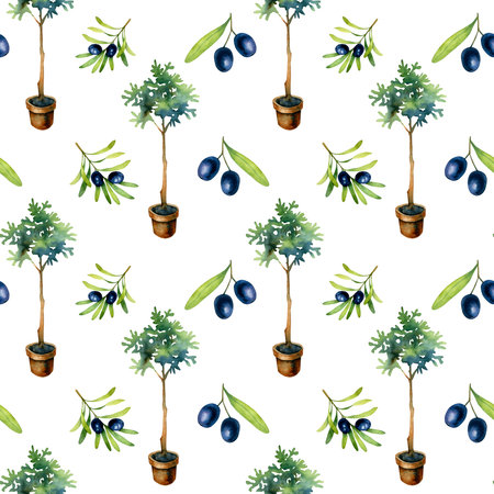 Watercolor seamless pattern of black olives and olive tree isolated on a white background.の写真素材