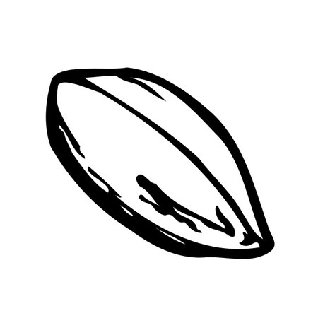 Hand drawn vector line illustration of a peanut.のイラスト素材