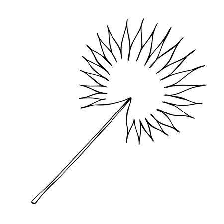 Fan palm leaf vector line illustration isolated on a white background.のイラスト素材