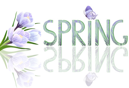 Crocuses flowers. Spring seasonのイラスト素材