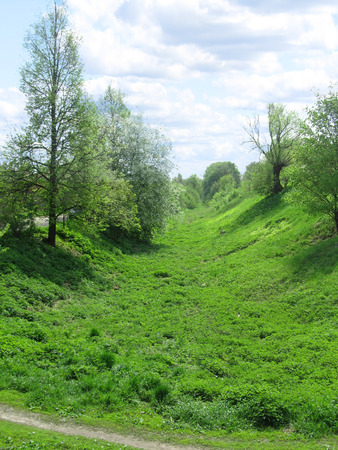 Spring landscape with ravine and forestの写真素材